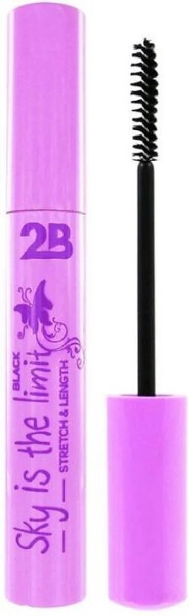 2b Sky Is The Limit Stretch & Length Black - Mascara 8ml - 51Dnspod | Smaakvolle damp – Verzendkosten vrij vanaf 40€