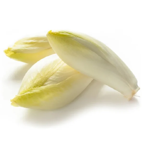 Biologische Witlof 1 KG - 51Dnspod | Smaakvolle damp – Verzendkosten vrij vanaf 40€