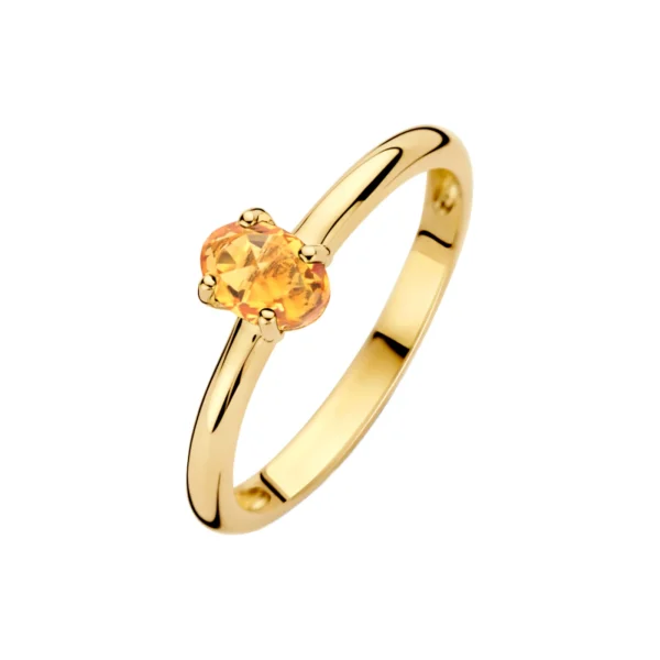 Blush 14 Karaat Gouden Ring 1242YCI/58 - 51Dnspod | Smaakvolle damp – Verzendkosten vrij vanaf 40€