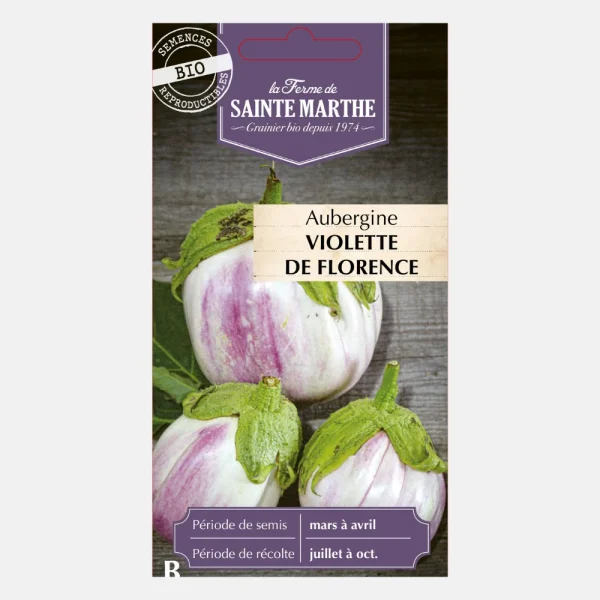 Aubergine 'Violetta di Firenze' BIO - 51Dnspod | Smaakvolle damp – Verzendkosten vrij vanaf 40€