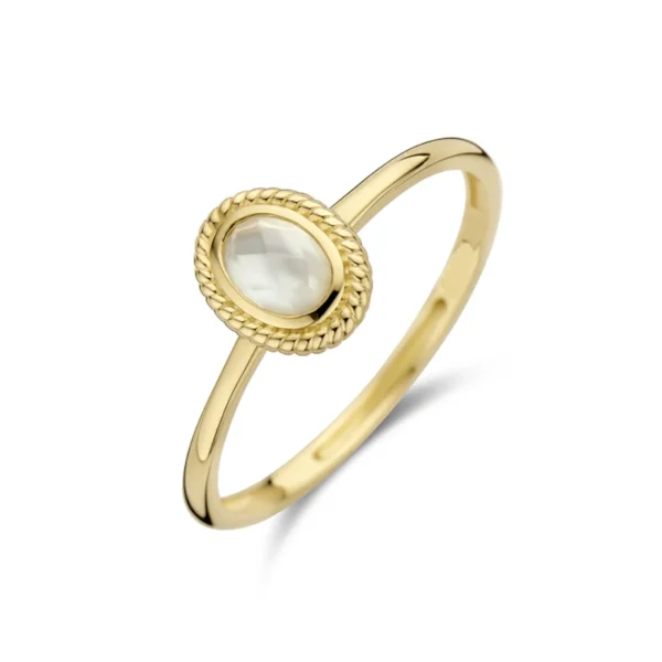Blush 14 Karaat Gouden Ring 1239YMQ/46 - 51Dnspod | Smaakvolle damp – Verzendkosten vrij vanaf 40€
