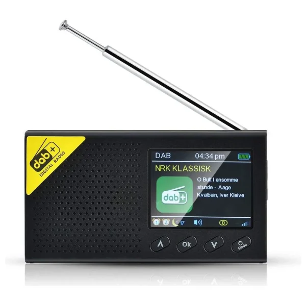 6.1 cm (2.4-inch) LCD Bluetooth 5.0 Digitale Radio Stereo - DAB & FM Ontvanger - Multifunctioneel Audio Broadcasting Speler - Draagbaar voor Thuis & Kantoor - 51Dnspod | Smaakvolle da