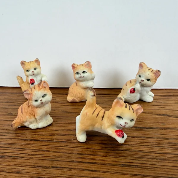 5 kleine katjes - 51Dnspod | Smaakvolle damp – Verzendkosten vrij vanaf 40€