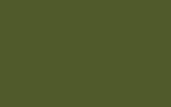 Absolute Matt Emulsion | Jewel Beetle no. 303 - 51Dnspod | Smaakvolle damp – Verzendkosten vrij vanaf 40€