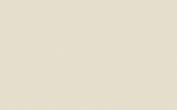 Absolute Matt Emulsion | Slaked Lime - Mid no. 149 - 51Dnspod | Smaakvolle damp – Verzendkosten vrij vanaf 40€