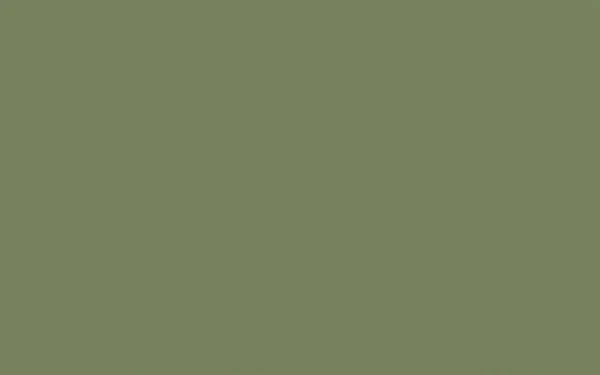 Absolute Matt Emulsion | Sage Green no. 80 - 51Dnspod | Smaakvolle damp – Verzendkosten vrij vanaf 40€